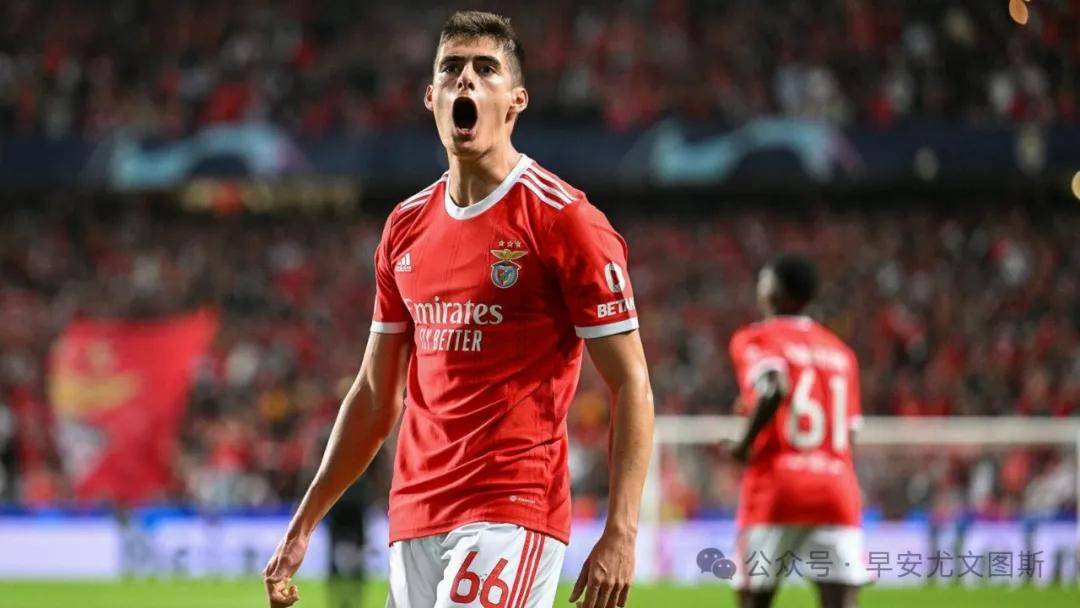 荷甲今夜再迎强敌，本菲卡临场应变，主帅态度：管理层满意，赛程密集仍需轮换的简单介绍-九游网页版